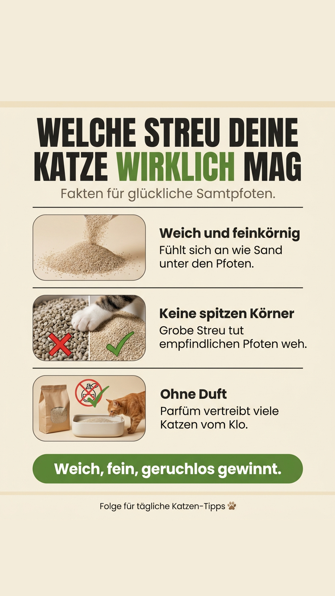 Bestes Katzenstreu: Was Ihre Katze bevorzugt